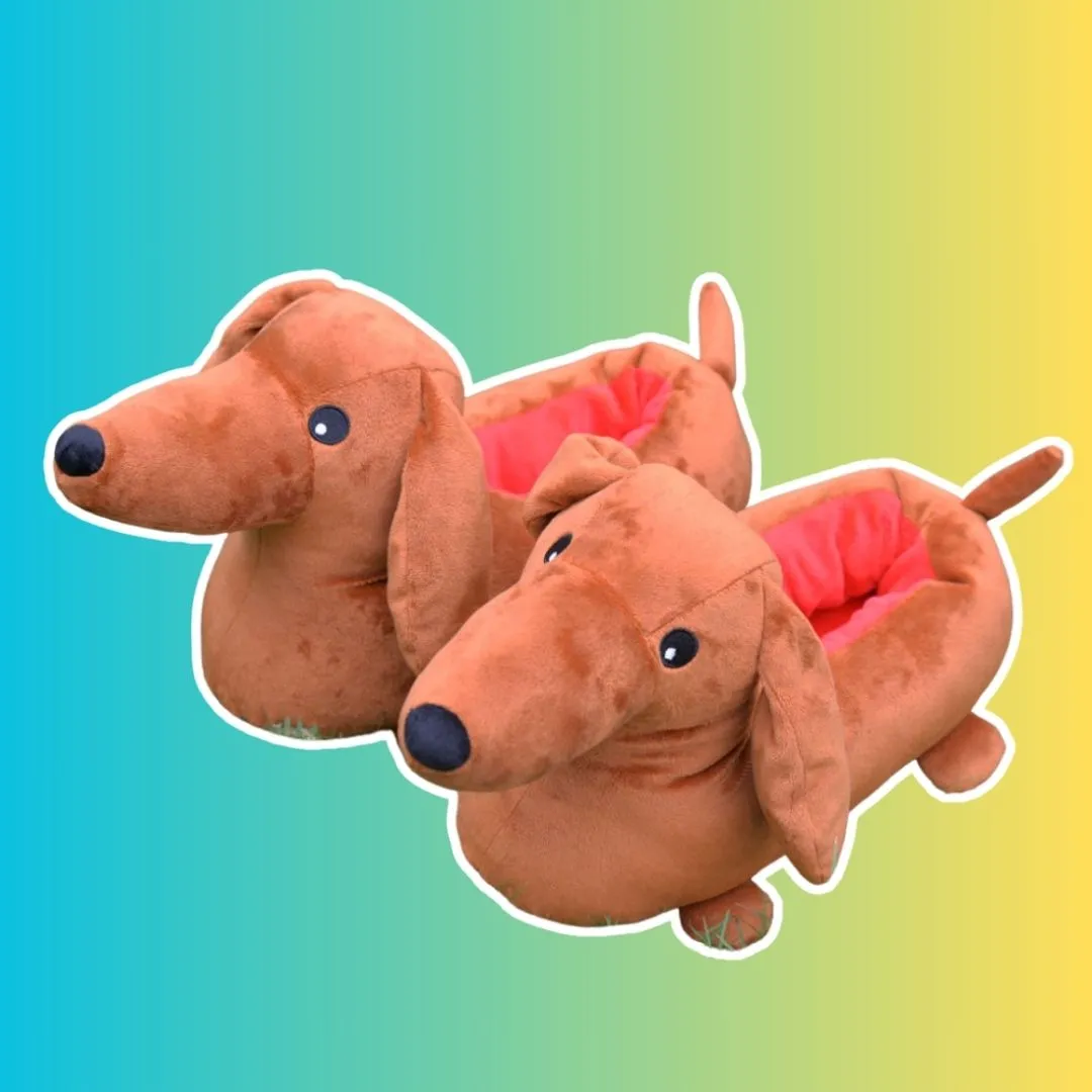 Cute Dachshund Slippers