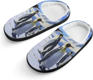King Penguins Cute Cotton Slippers Anti-slip House Shoe Slipper Indoor Outdoor