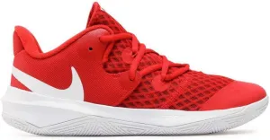 Nike Men's Volleyball Shoes