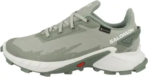 Salomon Women's Alphacross 4 Gore-tex Trail Running Shoe